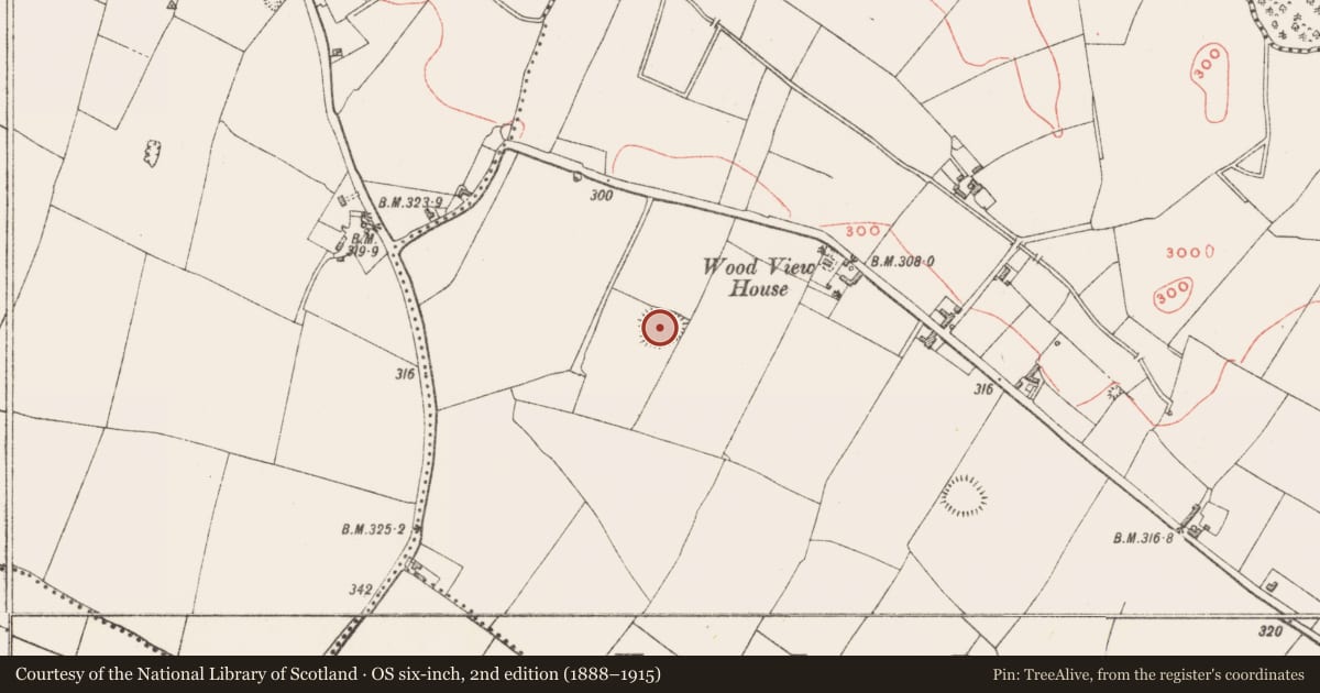 Ordnance Survey six-inch map, 2nd edition (1888–1915) covering the location of Ringfort - rath, Kilpatrick, County Westmeath, with a pin at the register's coordinates