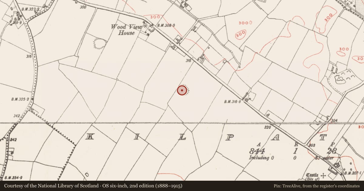 Ordnance Survey six-inch map, 2nd edition (1888–1915) covering the location of Ringfort - rath, Kilpatrick, County Westmeath, with a pin at the register's coordinates