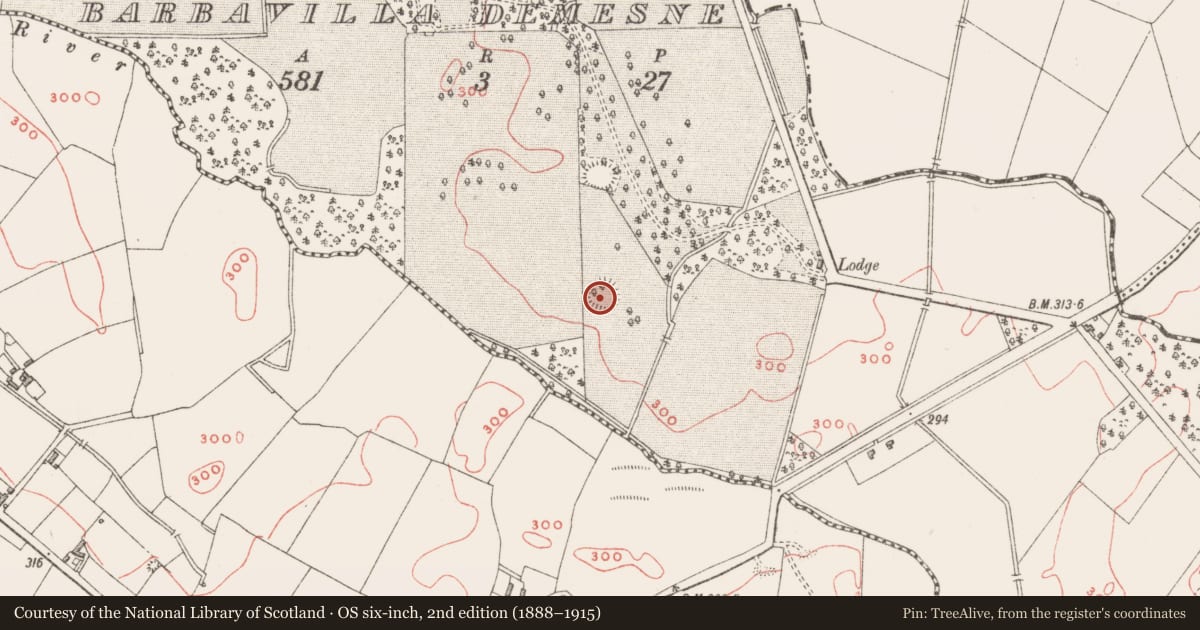 Ordnance Survey six-inch map, 2nd edition (1888–1915) covering the location of Ringfort - rath, Barbavilla Demesne, County Westmeath, with a pin at the register's coordinates