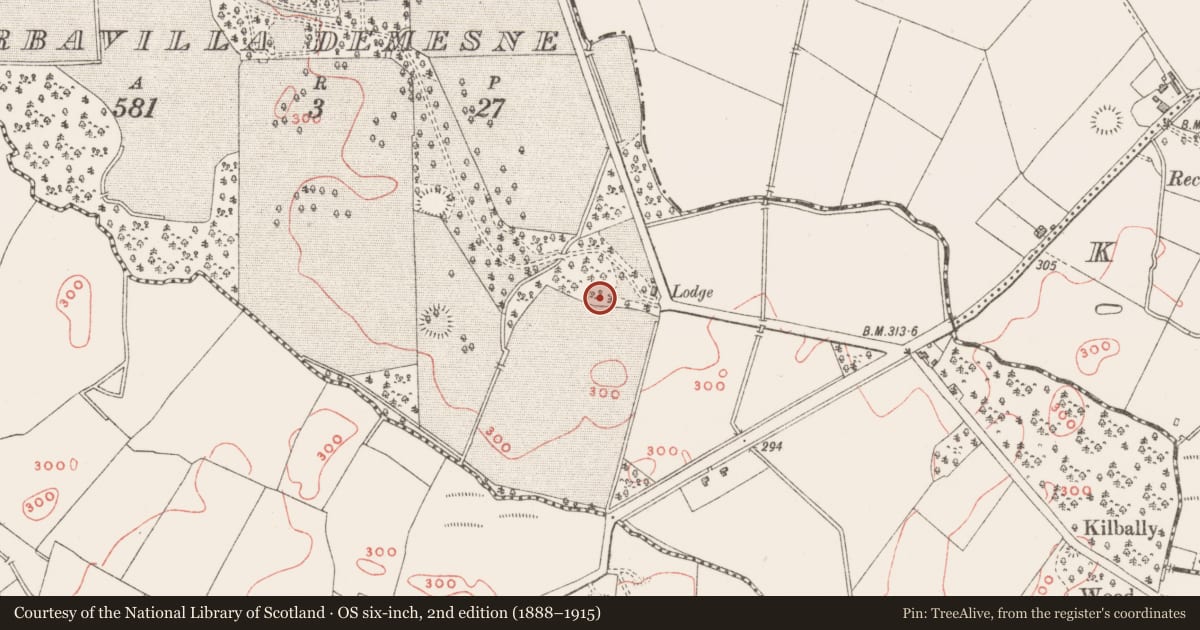 Ordnance Survey six-inch map, 2nd edition (1888–1915) covering the location of Ringfort - rath, Barbavilla Demesne, County Westmeath, with a pin at the register's coordinates