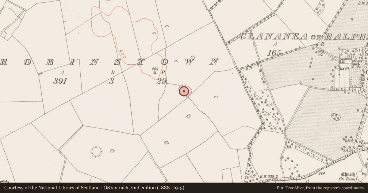Ordnance Survey six-inch map, 2nd edition (1888–1915) covering the location of Ringfort - rath, Robinstown, County Westmeath, with a pin at the register's coordinates