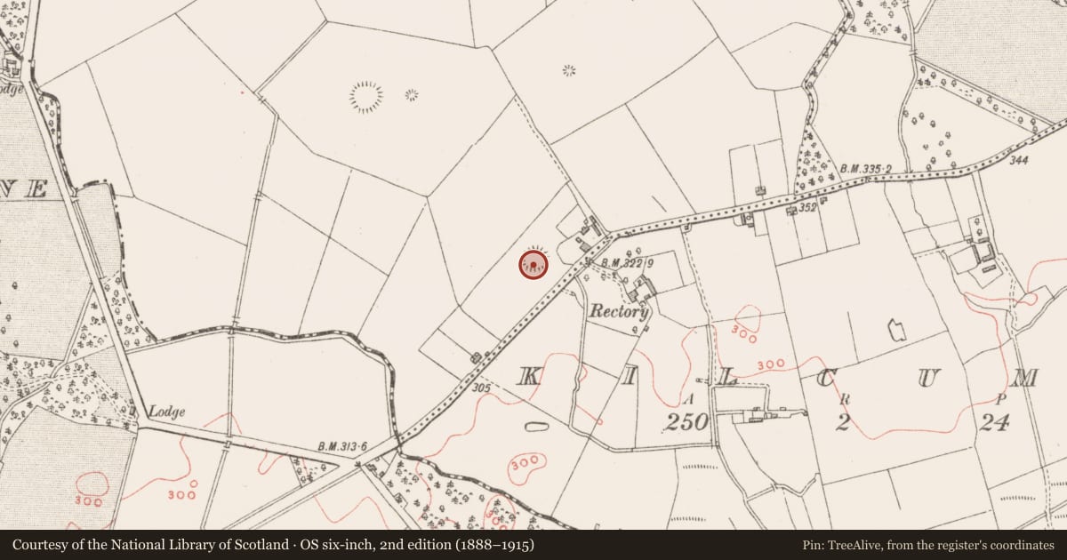 Ordnance Survey six-inch map, 2nd edition (1888–1915) covering the location of Ringfort - rath, Robinstown, County Westmeath, with a pin at the register's coordinates