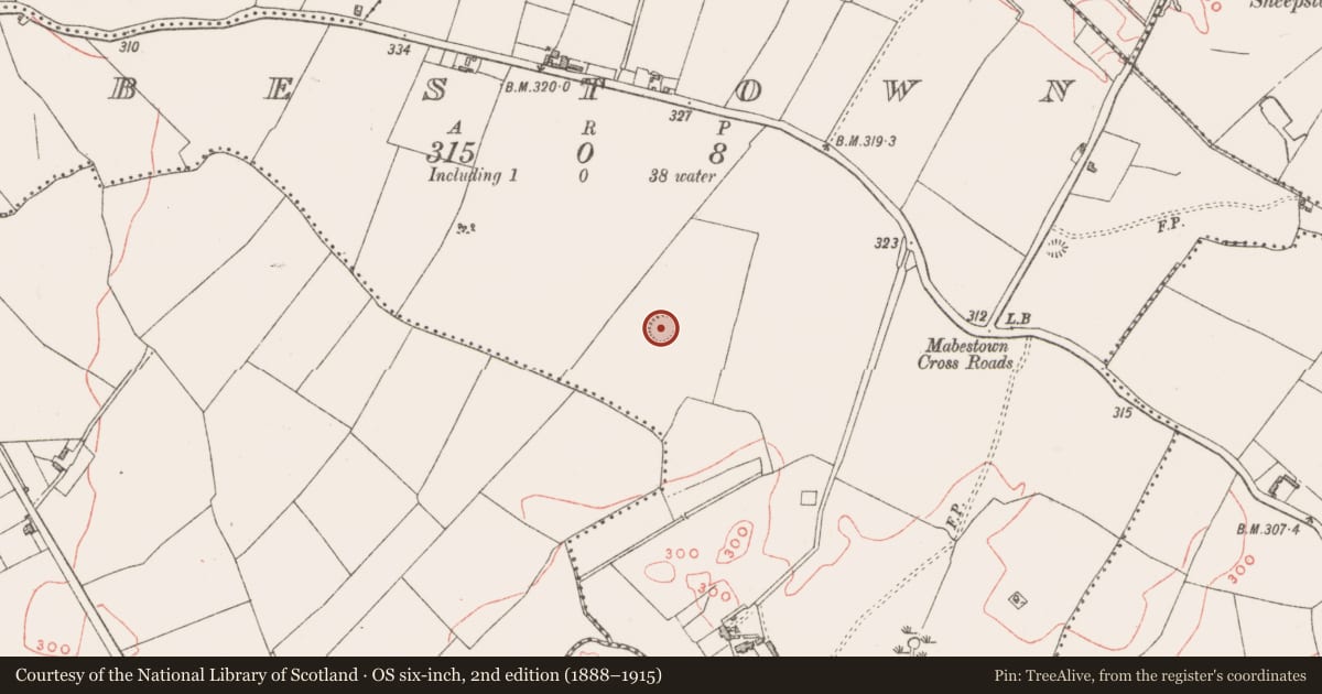 Ordnance Survey six-inch map, 2nd edition (1888–1915) covering the location of Ringfort - rath, Mabestown, County Westmeath, with a pin at the register's coordinates