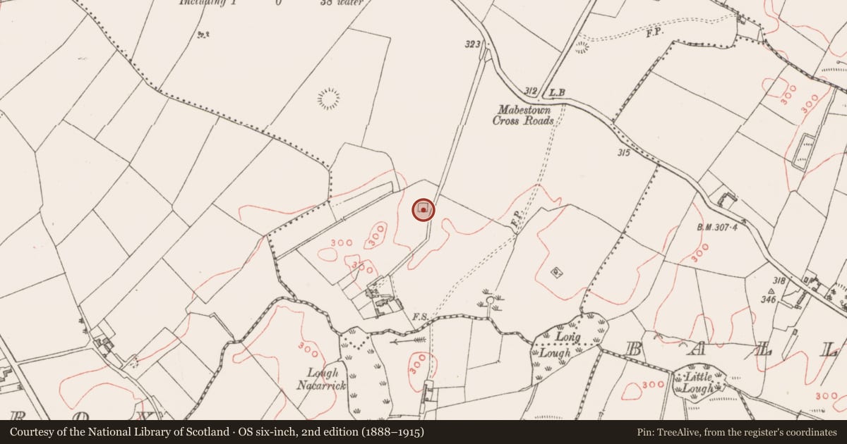 Ordnance Survey six-inch map, 2nd edition (1888–1915) covering the location of Moated site, Mabestown, County Westmeath, with a pin at the register's coordinates