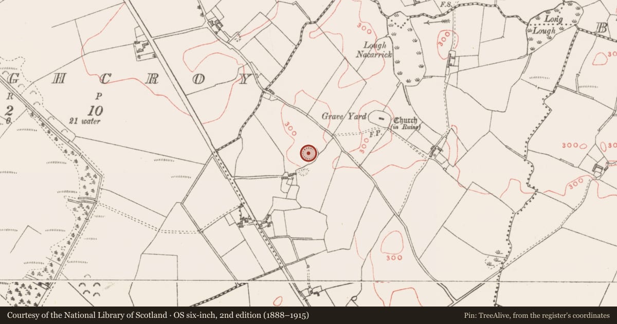 Ordnance Survey six-inch map, 2nd edition (1888–1915) covering the location of Ringfort - rath, Killadoughran, County Westmeath, with a pin at the register's coordinates