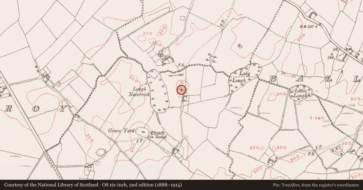 Ordnance Survey six-inch map, 2nd edition (1888–1915) covering the location of Castle - unclassified, Killadoughran, County Westmeath, with a pin at the register's coordinates
