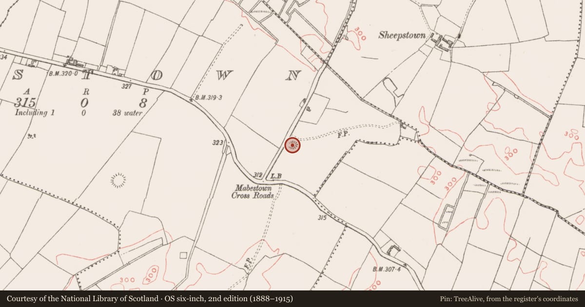 Ordnance Survey six-inch map, 2nd edition (1888–1915) covering the location of Ringfort - rath, Mabestown, County Westmeath, with a pin at the register's coordinates