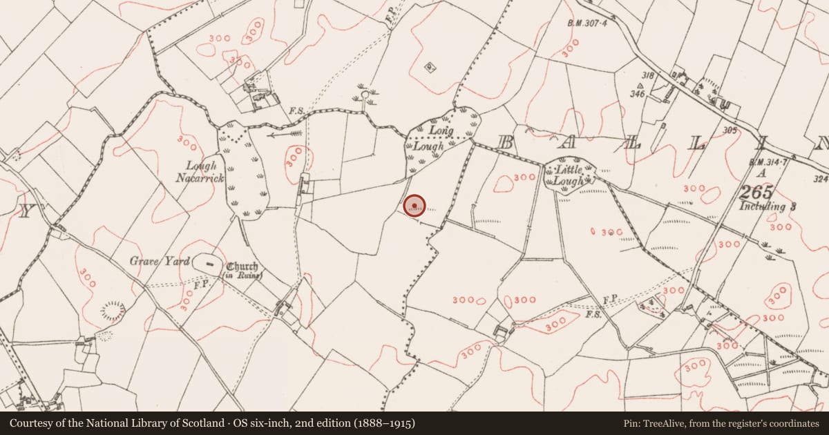 Ordnance Survey six-inch map, 2nd edition (1888–1915) covering the location of Castle - unclassified, Killadoughran, County Westmeath, with a pin at the register's coordinates