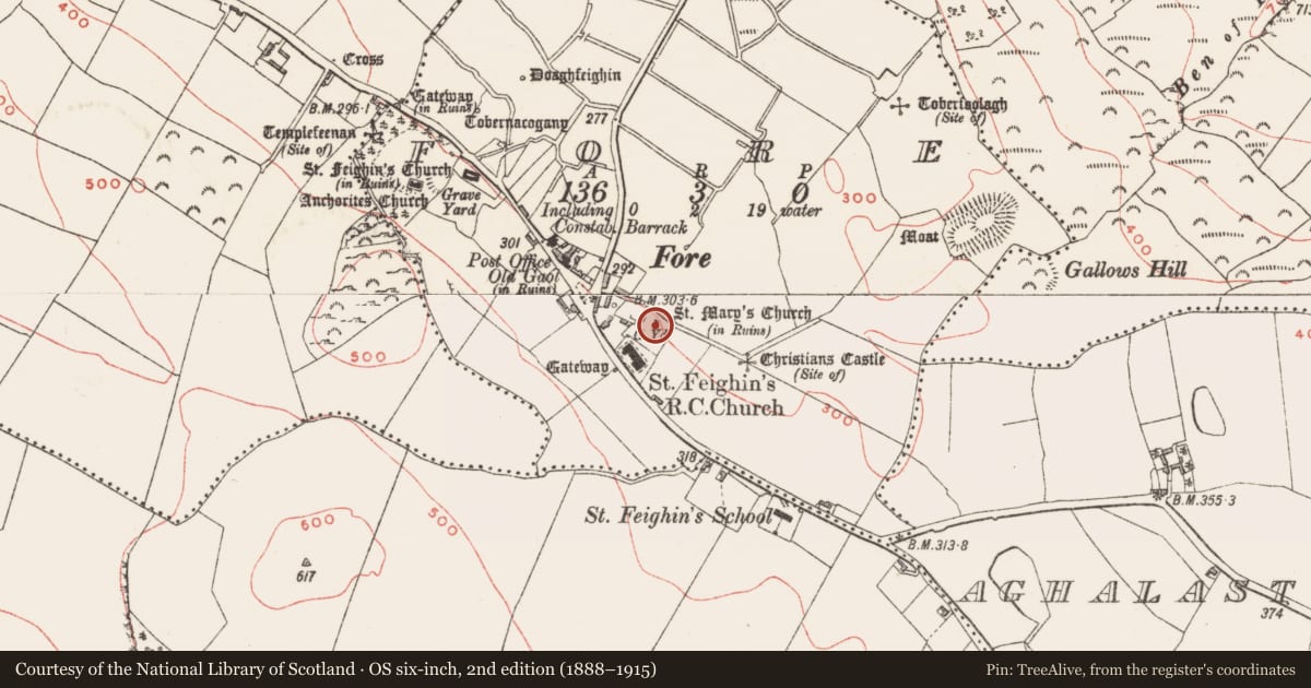 Ordnance Survey six-inch map, 2nd edition (1888–1915) covering the location of Wall monument, Fore, County Westmeath, with a pin at the register's coordinates