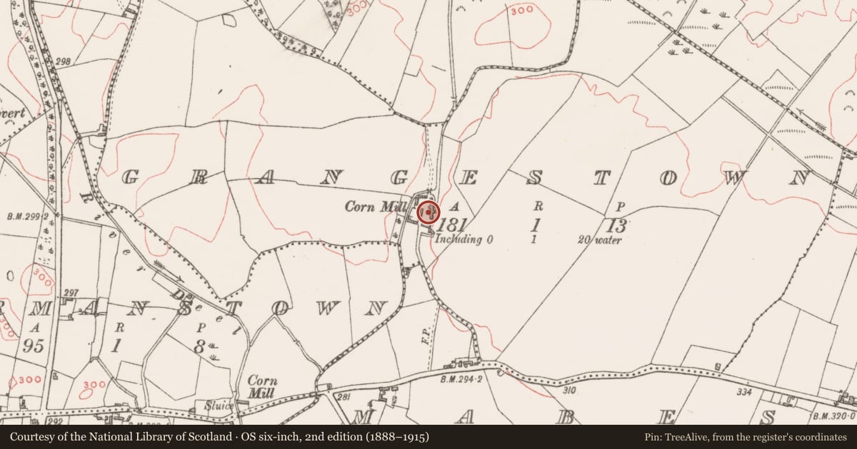 Ordnance Survey six-inch map, 2nd edition (1888–1915) covering the location of Water mill - unclassified, Grangestown, County Westmeath, with a pin at the register's coordinates