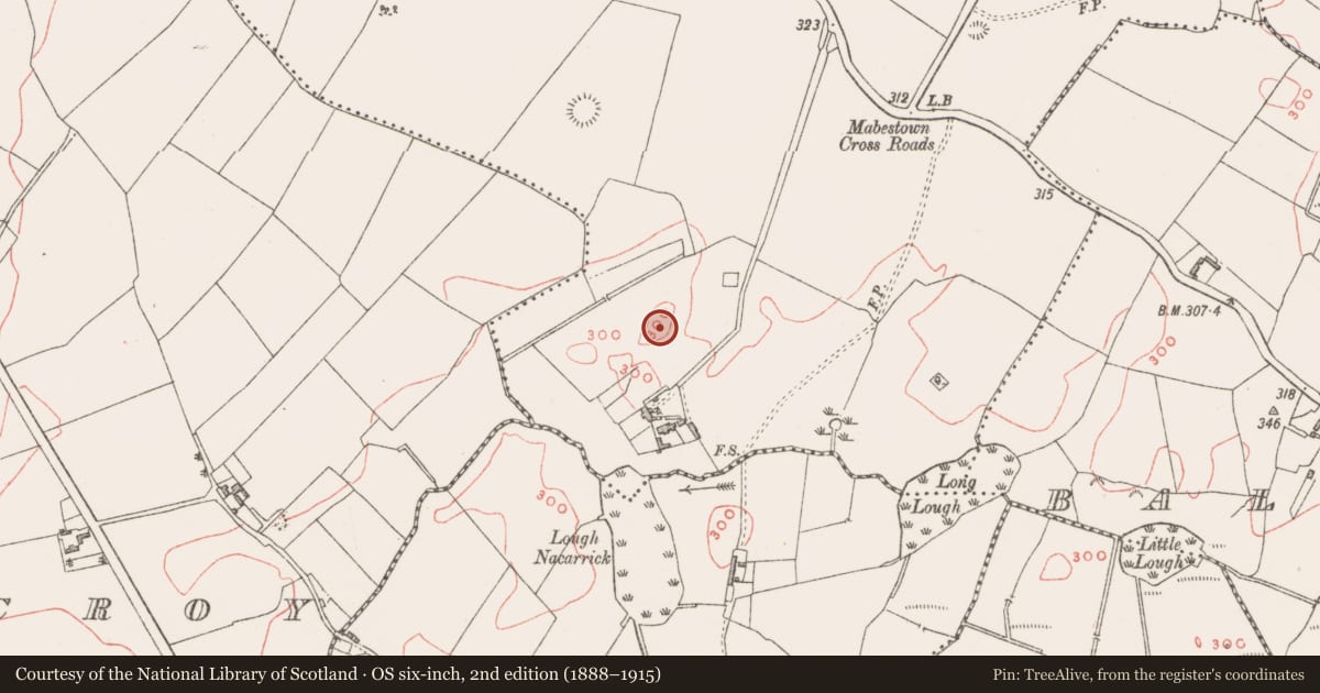 Ordnance Survey six-inch map, 2nd edition (1888–1915) covering the location of House - indeterminate date, Mabestown, County Westmeath, with a pin at the register's coordinates