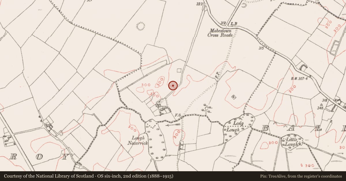 Ordnance Survey six-inch map, 2nd edition (1888–1915) covering the location of Settlement cluster, Mabestown, County Westmeath, with a pin at the register's coordinates