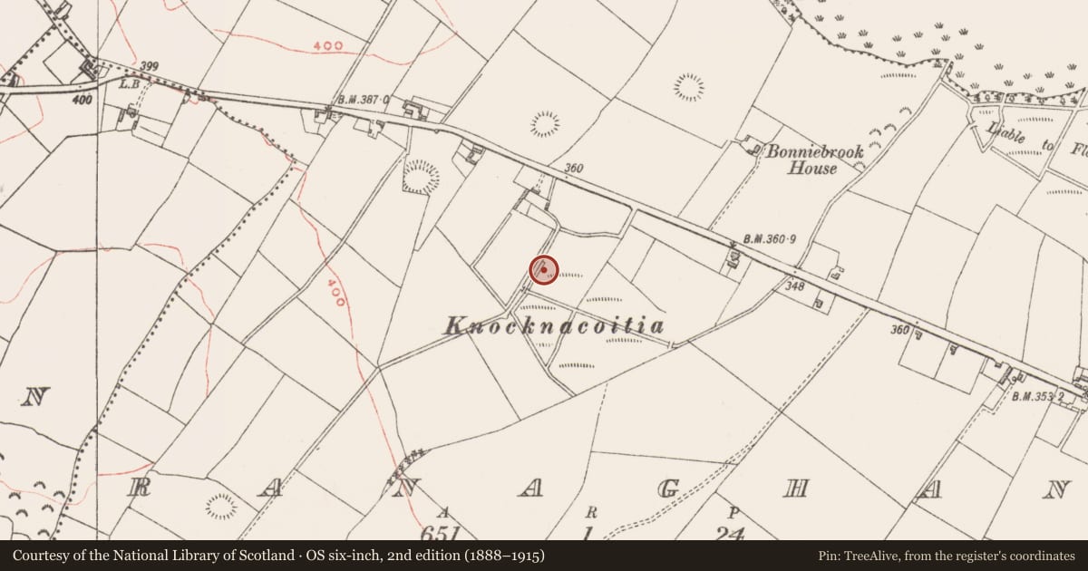 Ordnance Survey six-inch map, 2nd edition (1888–1915) covering the location of Road - unclassified togher, Ranaghan, County Westmeath, with a pin at the register's coordinates