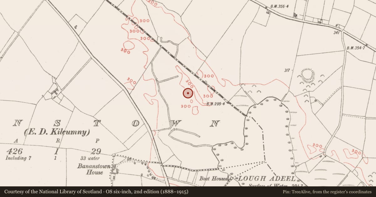 Ordnance Survey six-inch map, 2nd edition (1888–1915) covering the location of Ringfort - rath, Johnstown, County Westmeath, with a pin at the register's coordinates