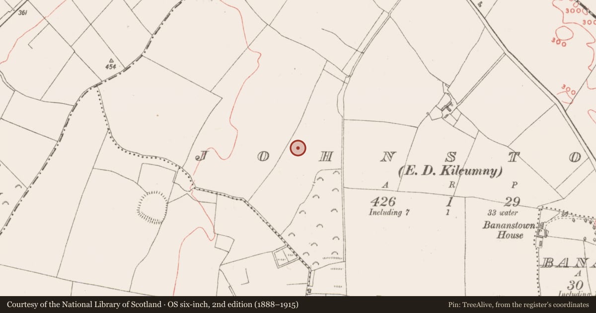 Ordnance Survey six-inch map, 2nd edition (1888–1915) covering the location of Earthwork, Johnstown, County Westmeath, with a pin at the register's coordinates