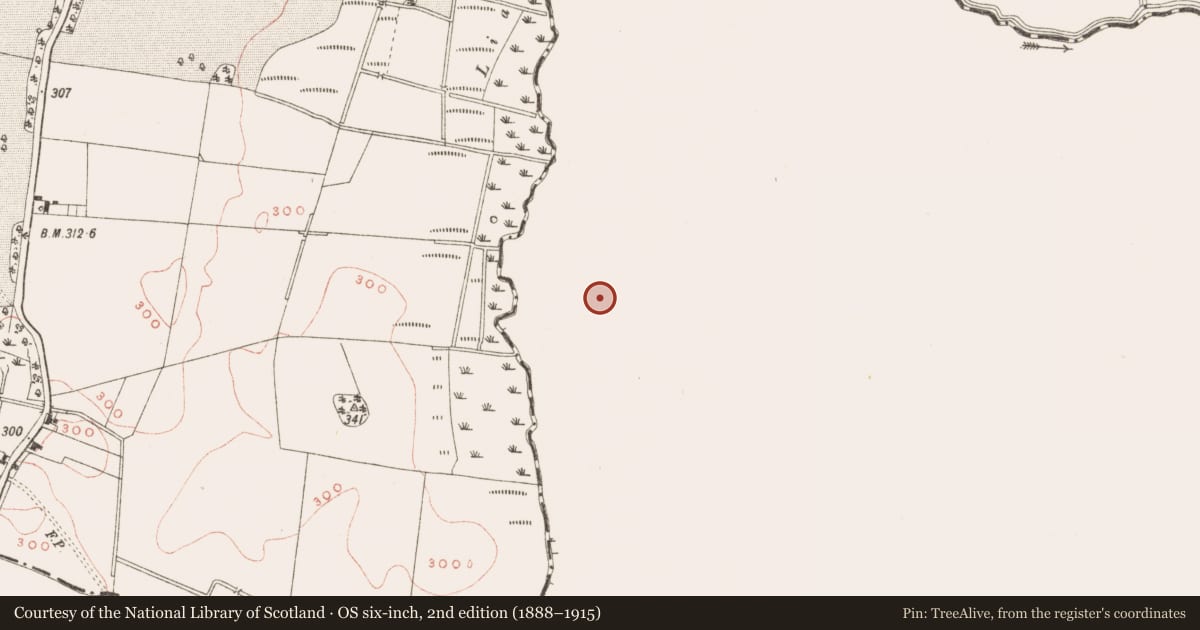 Ordnance Survey six-inch map, 2nd edition (1888–1915) covering the location of Ringfort - rath, Killua, County Westmeath, with a pin at the register's coordinates