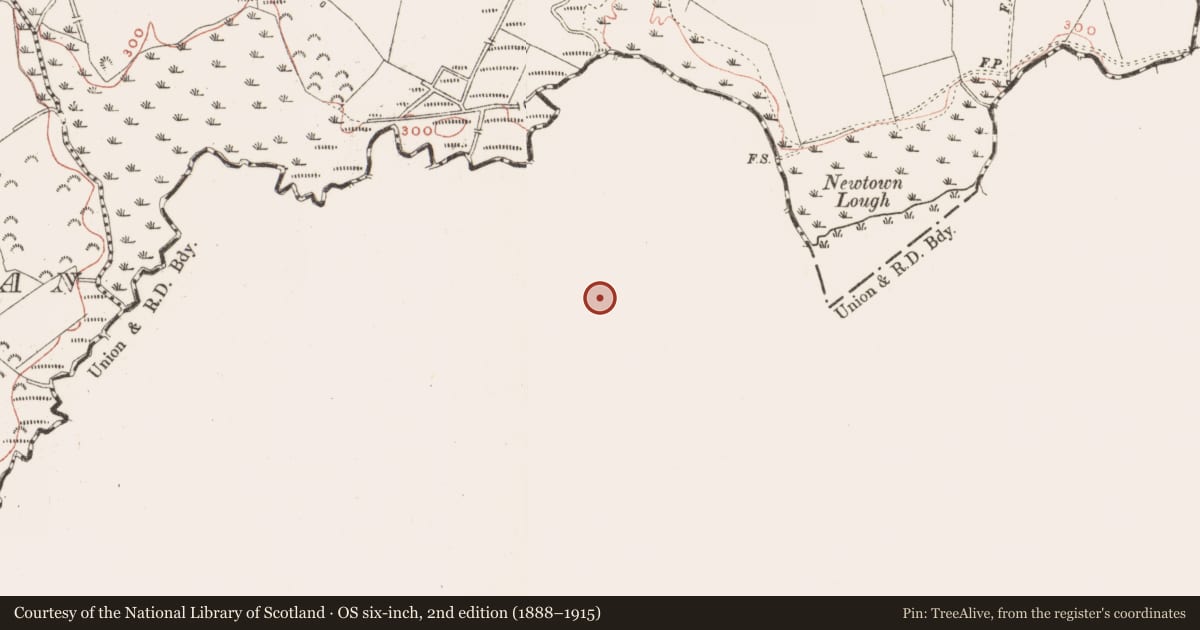 Ordnance Survey six-inch map, 2nd edition (1888–1915) covering the location of Castle - unclassified, Newtown, County Westmeath, with a pin at the register's coordinates