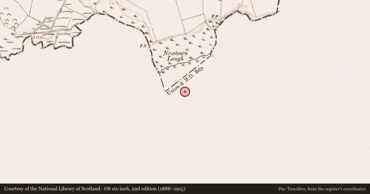 Ordnance Survey six-inch map, 2nd edition (1888–1915) covering the location of Crannog, Kilrush Lower, County Westmeath, with a pin at the register's coordinates