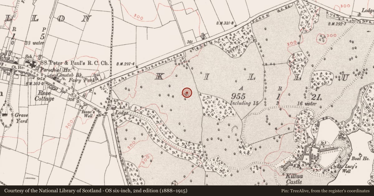 Ordnance Survey six-inch map, 2nd edition (1888–1915) covering the location of Designed landscape - tree-ring, Killua, County Westmeath, with a pin at the register's coordinates