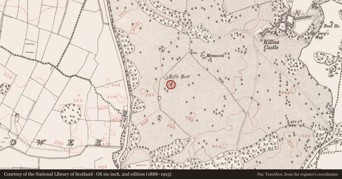 Ordnance Survey six-inch map, 2nd edition (1888–1915) covering the location of Ringfort - rath, Killua, County Westmeath, with a pin at the register's coordinates