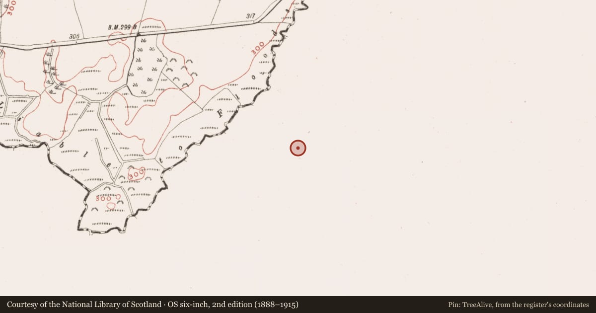 Ordnance Survey six-inch map, 2nd edition (1888–1915) covering the location of Ringfort - rath, Cavestown And Rosmead, County Westmeath, with a pin at the register's coordinates