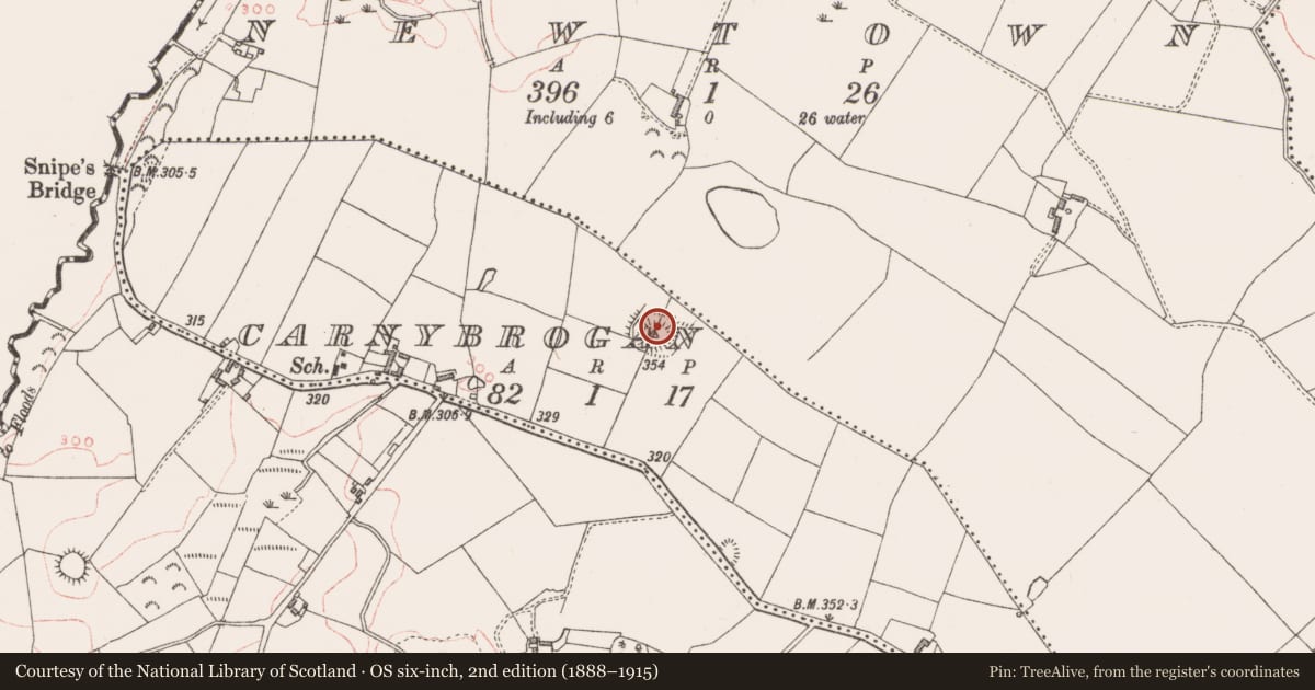 Ordnance Survey six-inch map, 2nd edition (1888–1915) covering the location of Ringfort - rath, Carnybrogan, County Westmeath, with a pin at the register's coordinates