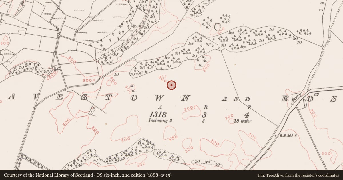 Ordnance Survey six-inch map, 2nd edition (1888–1915) covering the location of Ringfort - unclassified, Cavestown And Rosmead, County Westmeath, with a pin at the register's coordinates