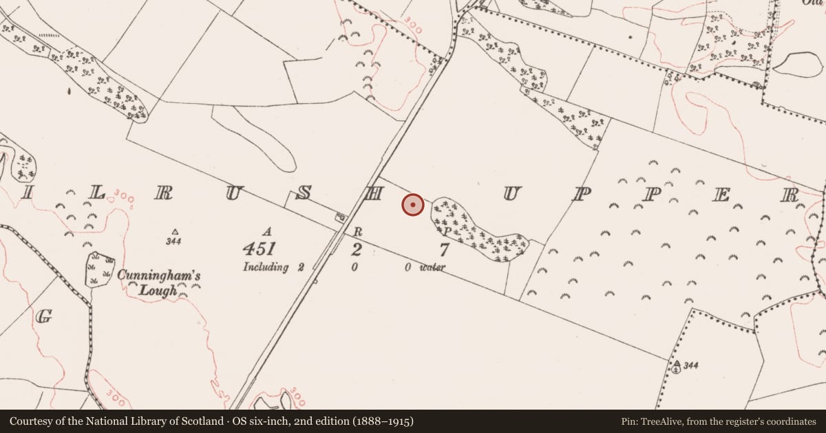 Ordnance Survey six-inch map, 2nd edition (1888–1915) covering the location of Ringfort - rath, Kilrush Upper, County Westmeath, with a pin at the register's coordinates