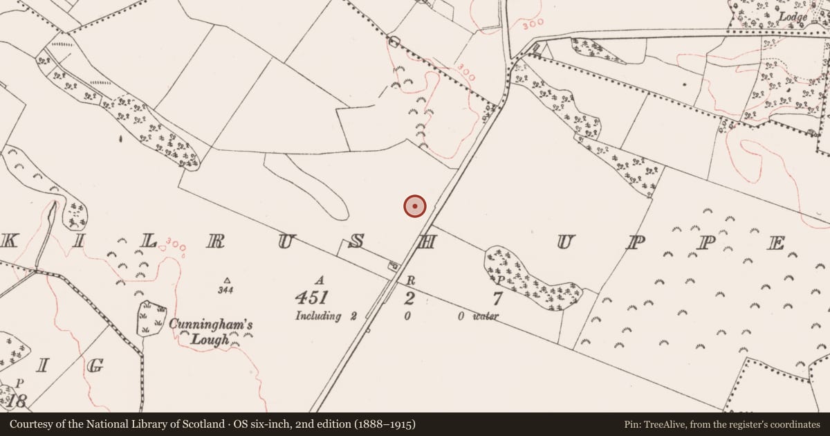 Ordnance Survey six-inch map, 2nd edition (1888–1915) covering the location of House - indeterminate date, Kilrush Upper, County Westmeath, with a pin at the register's coordinates
