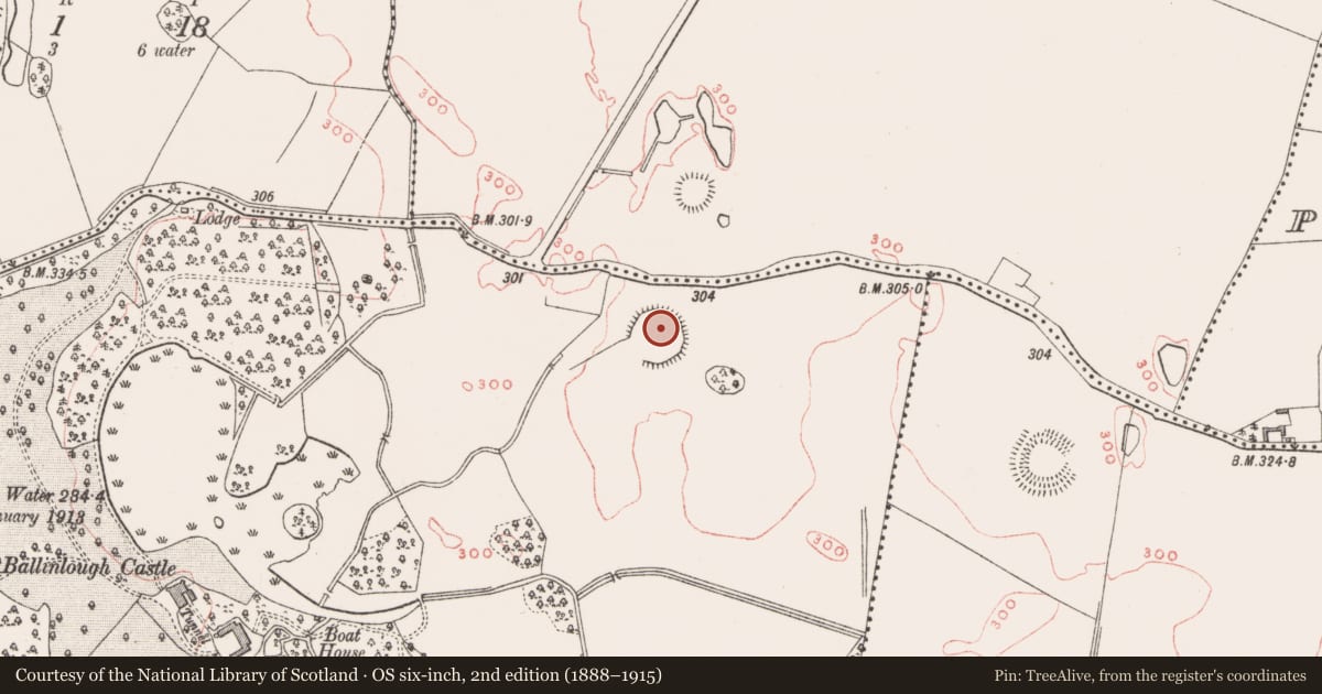 Ordnance Survey six-inch map, 2nd edition (1888–1915) covering the location of Ringfort - rath, Ballinlough, County Westmeath, with a pin at the register's coordinates
