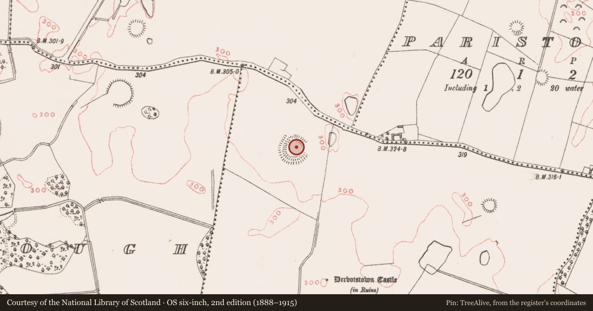 Ordnance Survey six-inch map, 2nd edition (1888–1915) covering the location of Ringfort - rath, Dervotstown, County Westmeath, with a pin at the register's coordinates