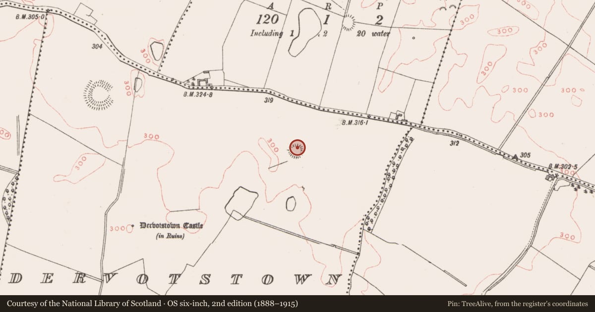 Ordnance Survey six-inch map, 2nd edition (1888–1915) covering the location of Ringfort - rath, Dervotstown, County Westmeath, with a pin at the register's coordinates