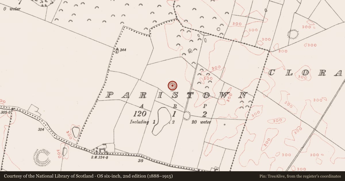 Ordnance Survey six-inch map, 2nd edition (1888–1915) covering the location of Ringfort - rath, Paristown, County Westmeath, with a pin at the register's coordinates