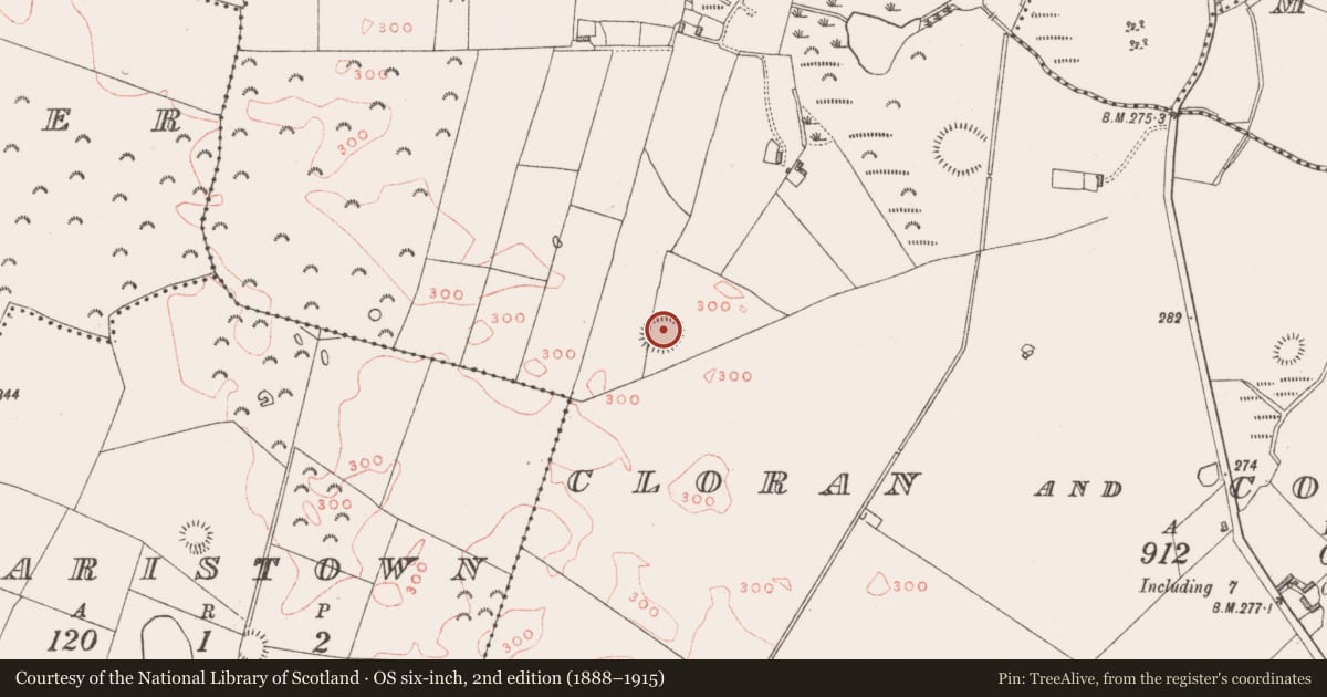 Ordnance Survey six-inch map, 2nd edition (1888–1915) covering the location of Ringfort - rath, Cloran And Corcullentry, County Westmeath, with a pin at the register's coordinates