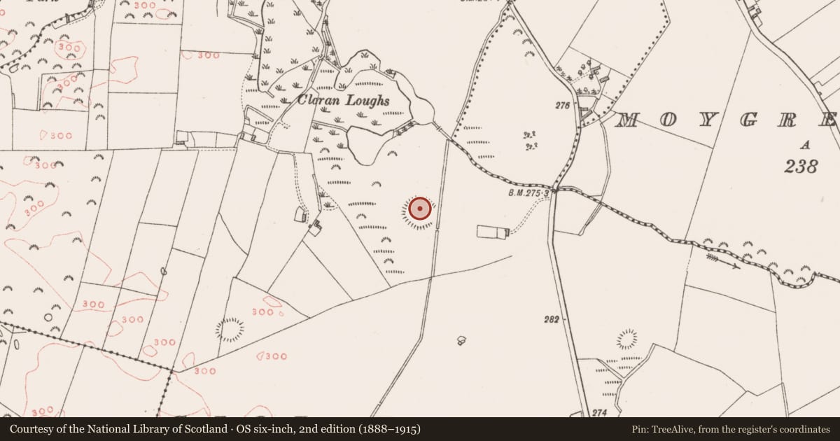 Ordnance Survey six-inch map, 2nd edition (1888–1915) covering the location of Ringfort - rath, Cloran And Corcullentry, County Westmeath, with a pin at the register's coordinates