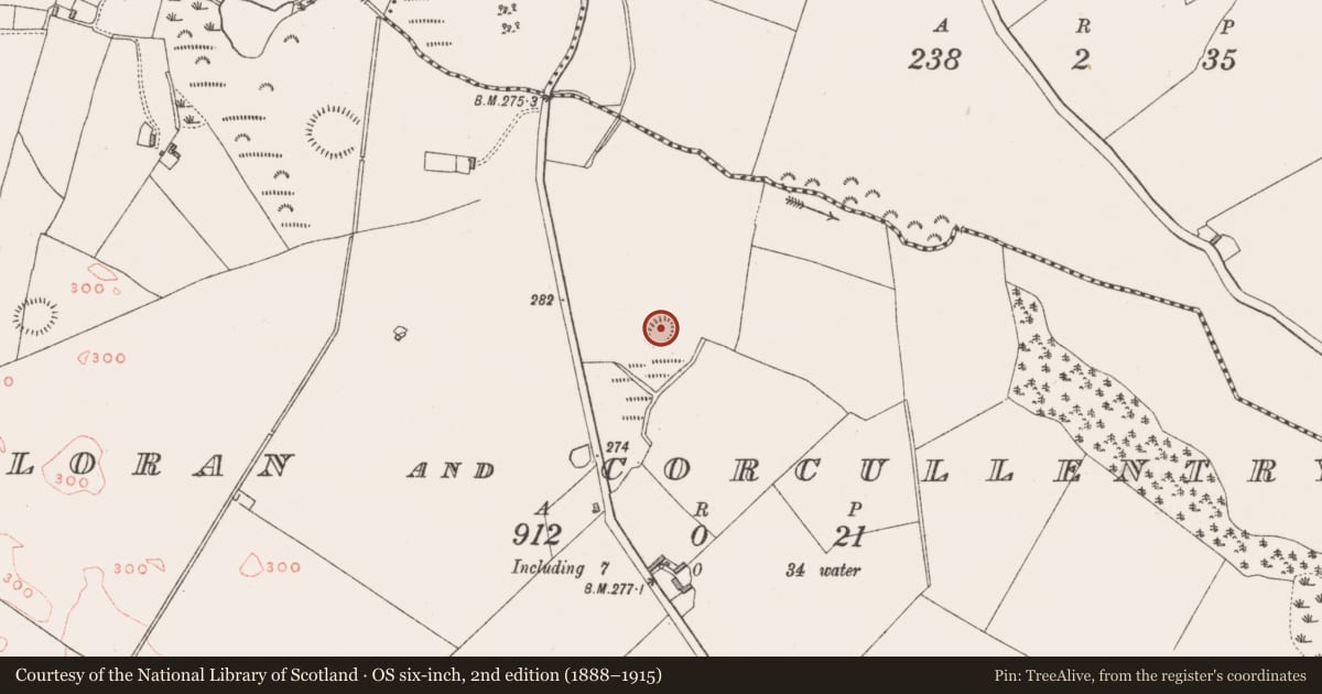 Ordnance Survey six-inch map, 2nd edition (1888–1915) covering the location of Ringfort - rath, Cloran And Corcullentry, County Westmeath, with a pin at the register's coordinates