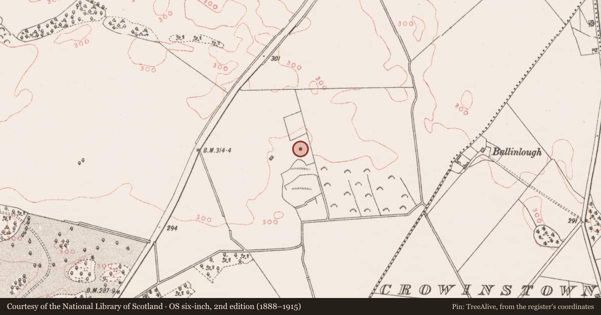 Ordnance Survey six-inch map, 2nd edition (1888–1915) covering the location of Earthwork, Cavestown And Rosmead, County Westmeath, with a pin at the register's coordinates