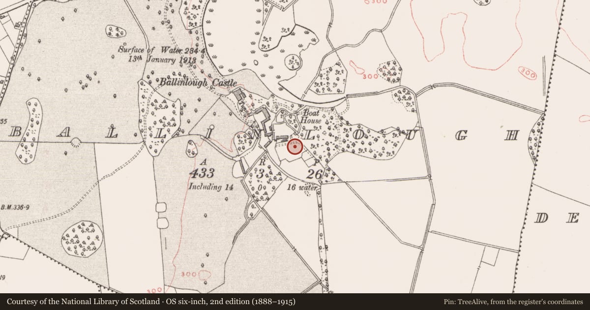 Ordnance Survey six-inch map, 2nd edition (1888–1915) covering the location of Font (present location), Ballinlough, County Westmeath, with a pin at the register's coordinates