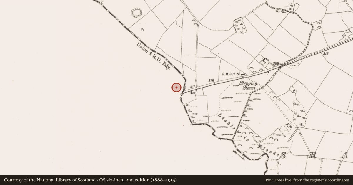 Ordnance Survey six-inch map, 2nd edition (1888–1915) covering the location of Mill - unclassified, Archerstown, County Westmeath, with a pin at the register's coordinates