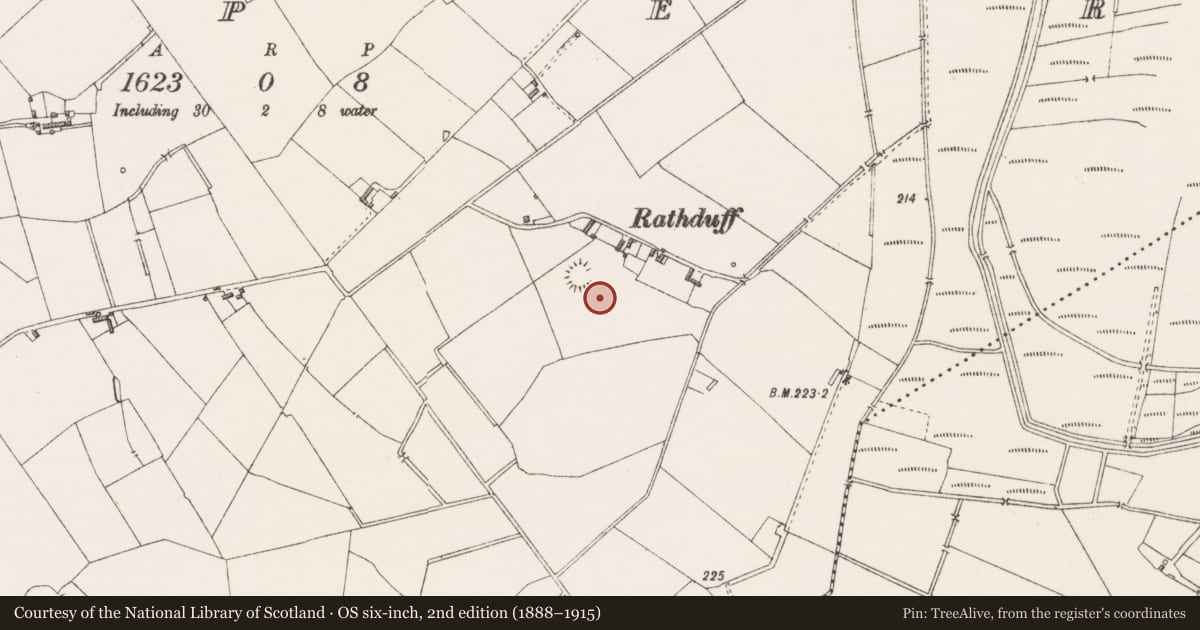Ordnance Survey six-inch map, 2nd edition (1888–1915) covering the location of Flat cemetery, Emper, County Westmeath, with a pin at the register's coordinates