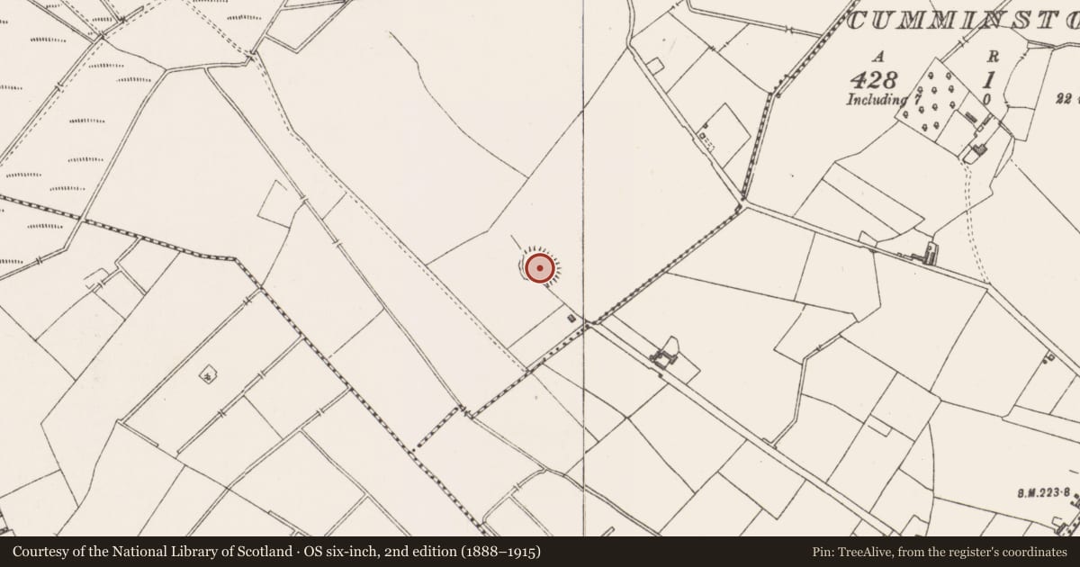 Ordnance Survey six-inch map, 2nd edition (1888–1915) covering the location of Ringfort - rath, Ballallen, County Westmeath, with a pin at the register's coordinates