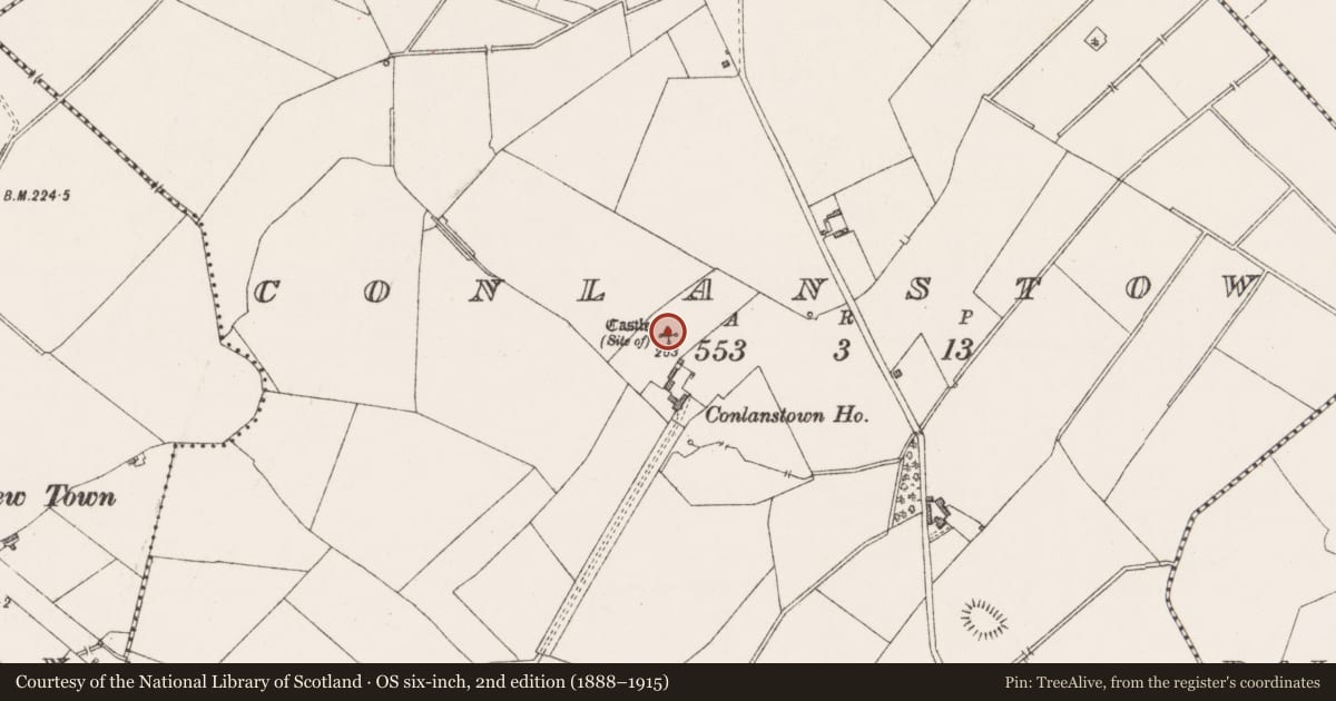 Ordnance Survey six-inch map, 2nd edition (1888–1915) covering the location of Castle - unclassified, Conlanstown, County Westmeath, with a pin at the register's coordinates