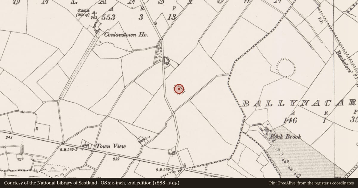 Ordnance Survey six-inch map, 2nd edition (1888–1915) covering the location of Ringfort - unclassified, Conlanstown, County Westmeath, with a pin at the register's coordinates