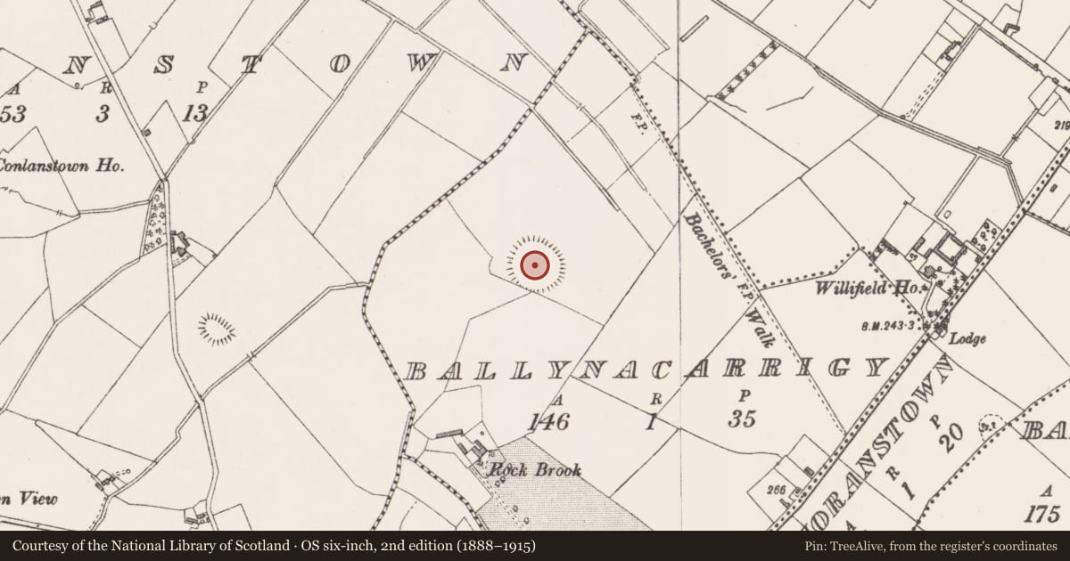 Ordnance Survey six-inch map, 2nd edition (1888–1915) covering the location of Ringfort - rath, Ballynacarrigy, County Westmeath, with a pin at the register's coordinates