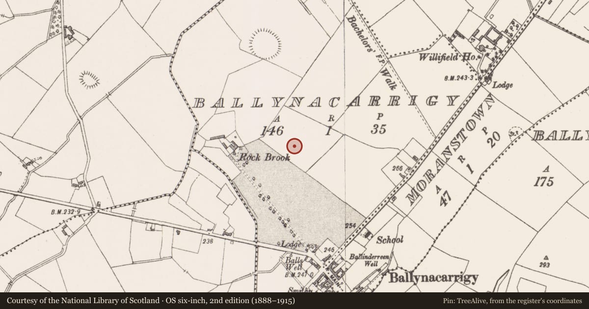 Ordnance Survey six-inch map, 2nd edition (1888–1915) covering the location of Barrow - mound barrow, Ballynacarrigy, County Westmeath, with a pin at the register's coordinates