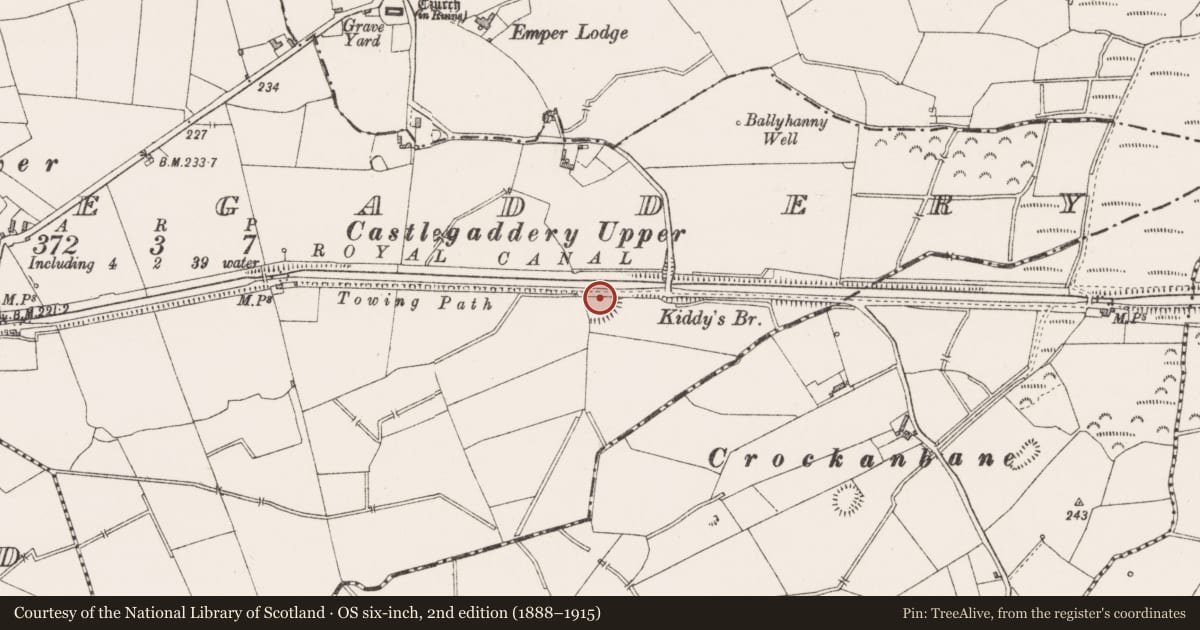 Ordnance Survey six-inch map, 2nd edition (1888–1915) covering the location of Earthwork, Castlegaddery, County Westmeath, with a pin at the register's coordinates