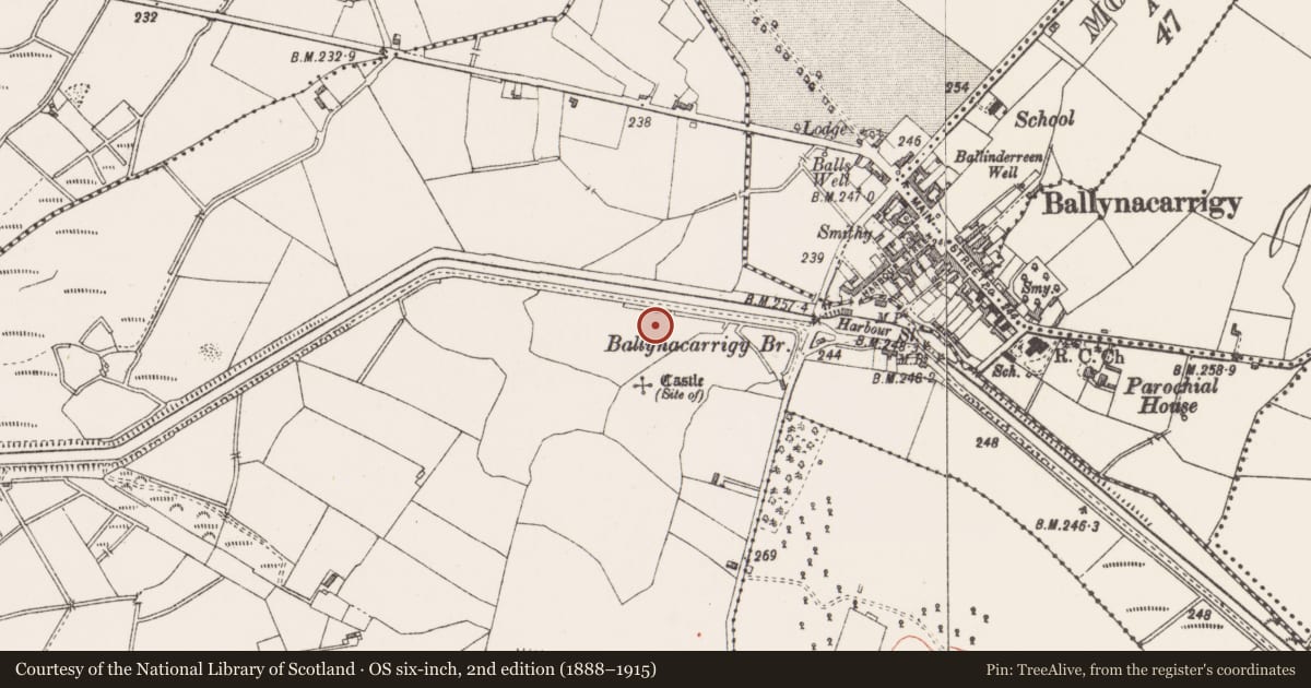 Ordnance Survey six-inch map, 2nd edition (1888–1915) covering the location of Ringfort - unclassified, Ballintue, County Westmeath, with a pin at the register's coordinates
