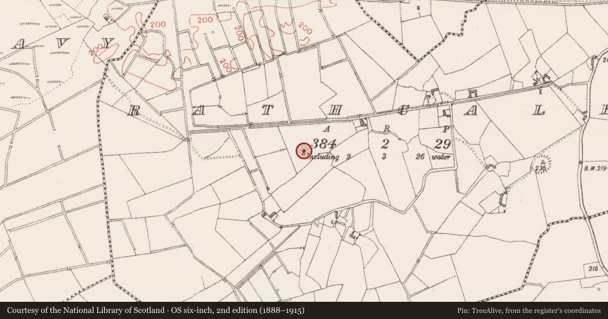 Ordnance Survey six-inch map, 2nd edition (1888–1915) covering the location of Standing stone, Rathcaled, County Westmeath, with a pin at the register's coordinates
