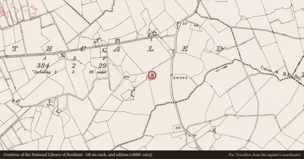 Ordnance Survey six-inch map, 2nd edition (1888–1915) covering the location of Ringfort - rath, Rathcaled, County Westmeath, with a pin at the register's coordinates