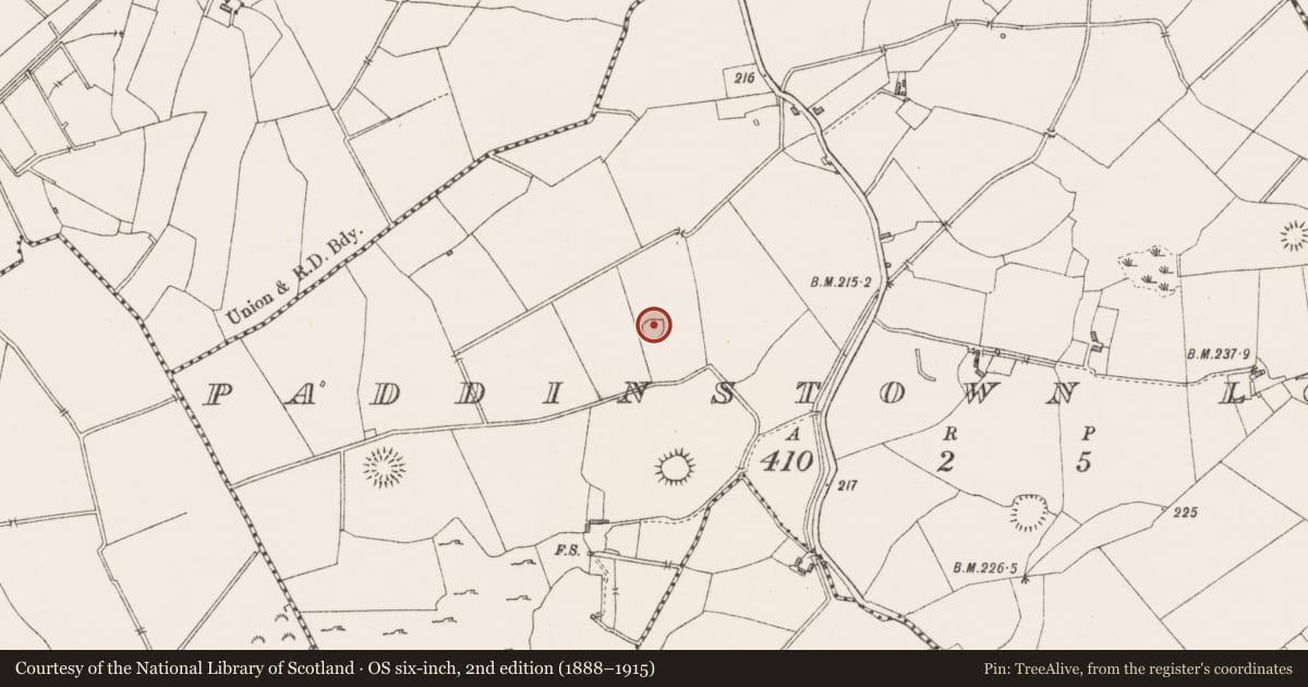 Ordnance Survey six-inch map, 2nd edition (1888–1915) covering the location of Ringfort - rath, Paddinstown Lower, County Westmeath, with a pin at the register's coordinates